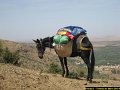 Trekking au Maroc - Voyages Laurence - 067